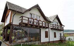 Alegria